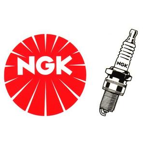 Spark plug NGK D8EA