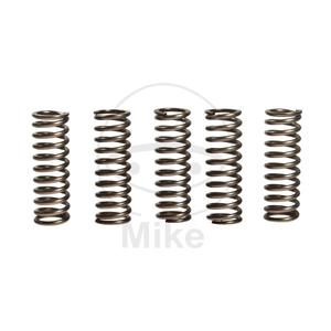 Clutch spring kit EBC CSK123 5