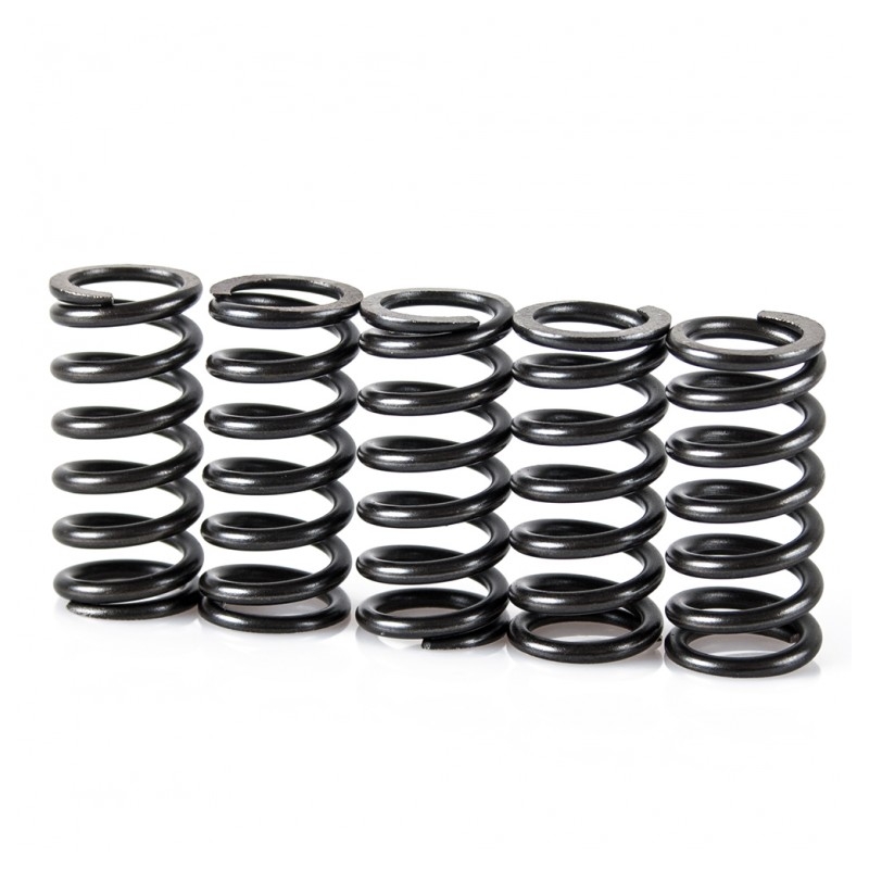 Spring clutch kit MOTION STUFF