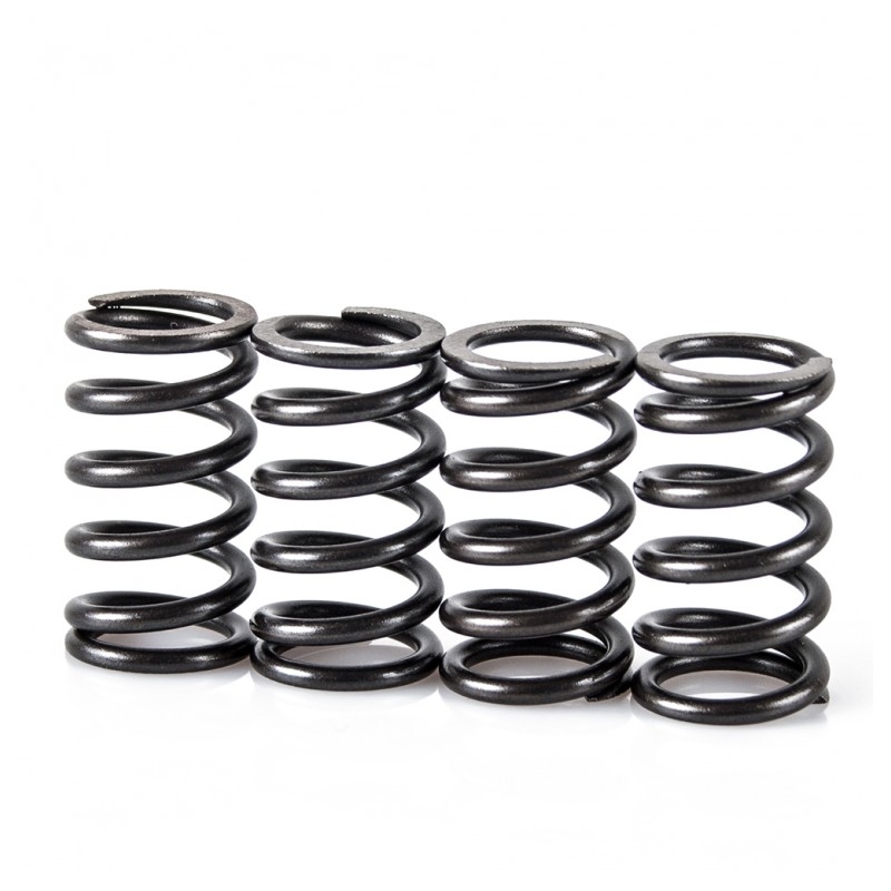 Spring clutch kit MOTION STUFF