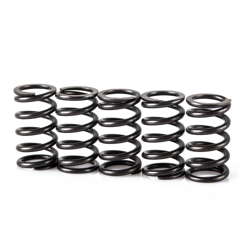 Spring clutch kit MOTION STUFF