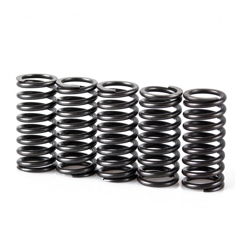 Spring clutch kit MOTION STUFF