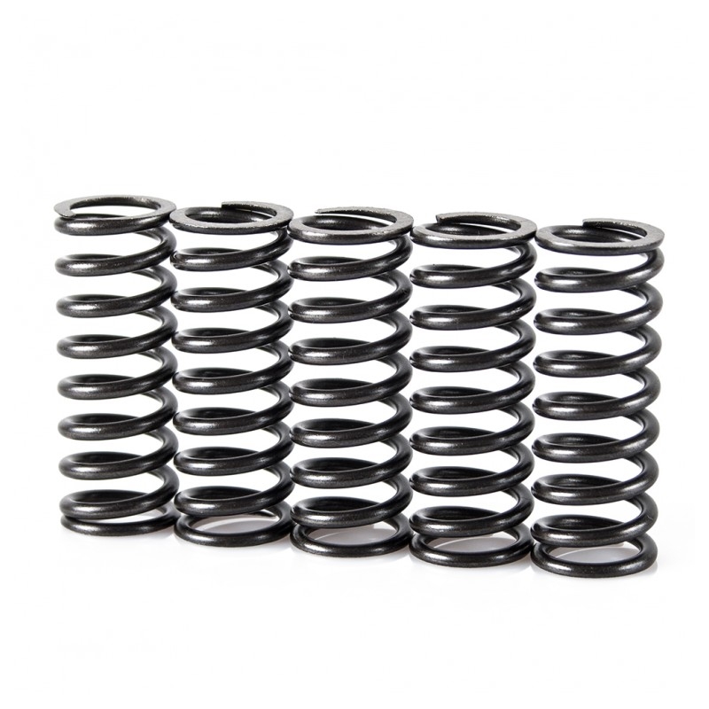 Spring clutch kit MOTION STUFF