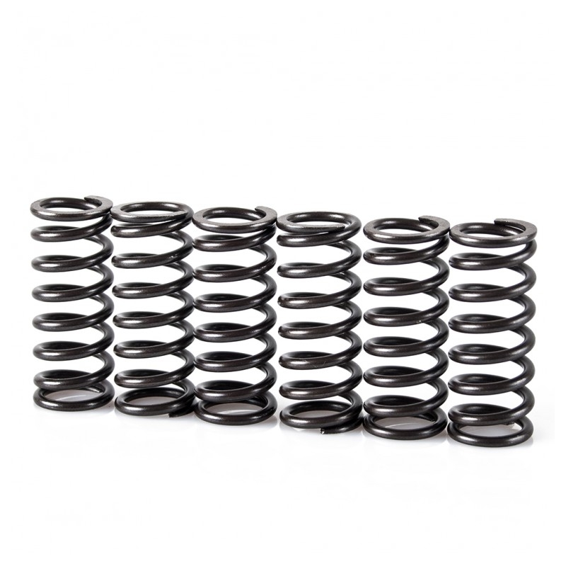 Spring clutch kit MOTION STUFF
