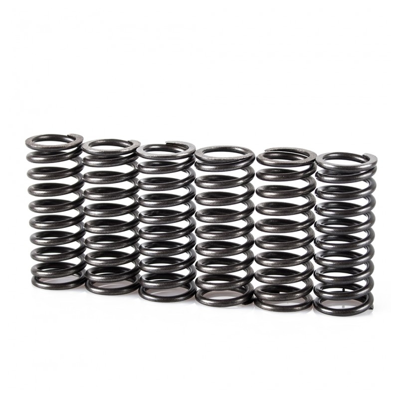 Spring clutch kit MOTION STUFF