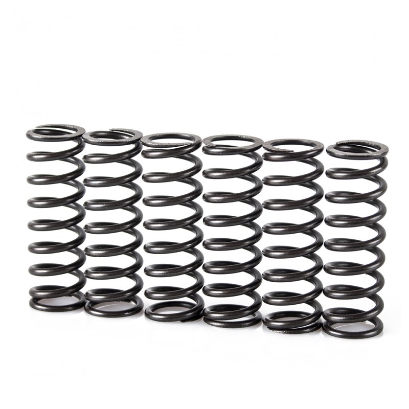 Spring clutch kit MOTION STUFF