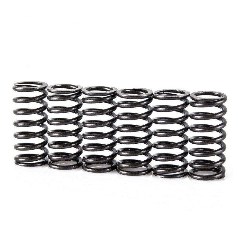 Spring clutch kit MOTION STUFF