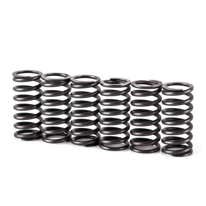 Spring clutch kit MOTION STUFF