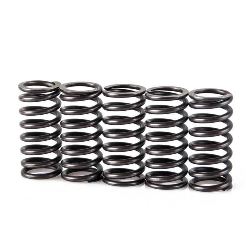 Spring clutch kit MOTION STUFF