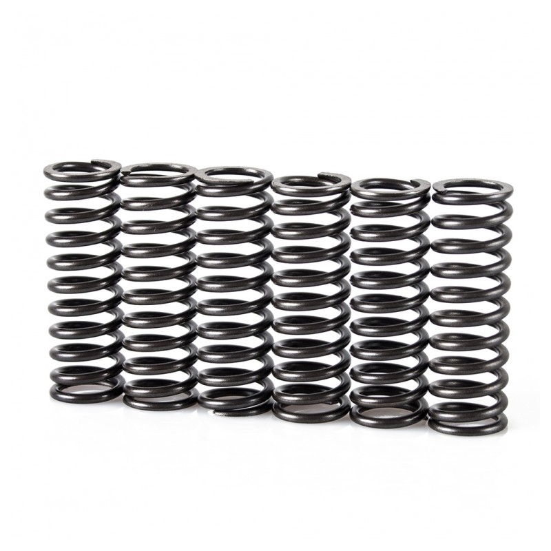 Spring clutch kit MOTION STUFF