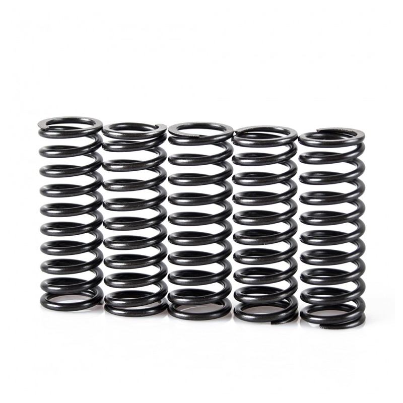 Spring clutch kit MOTION STUFF