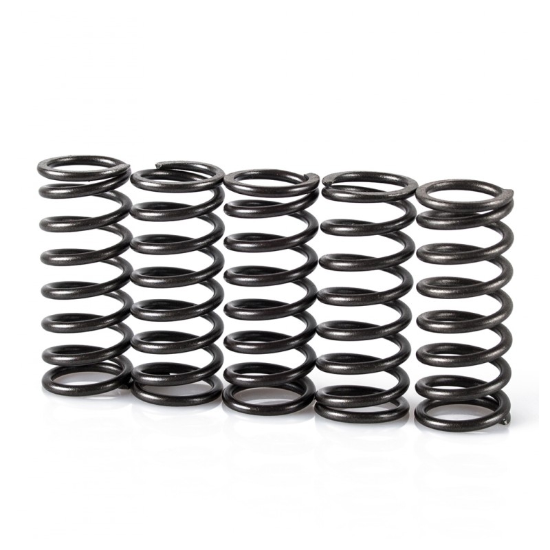 Spring clutch kit MOTION STUFF