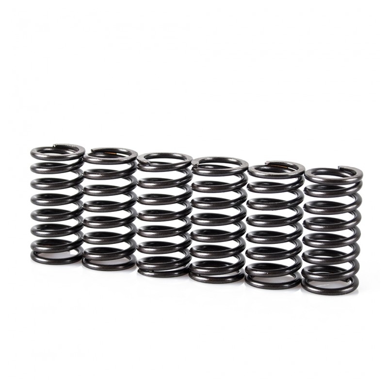Spring clutch kit MOTION STUFF