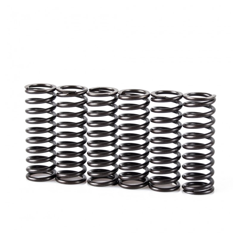 Spring clutch kit MOTION STUFF