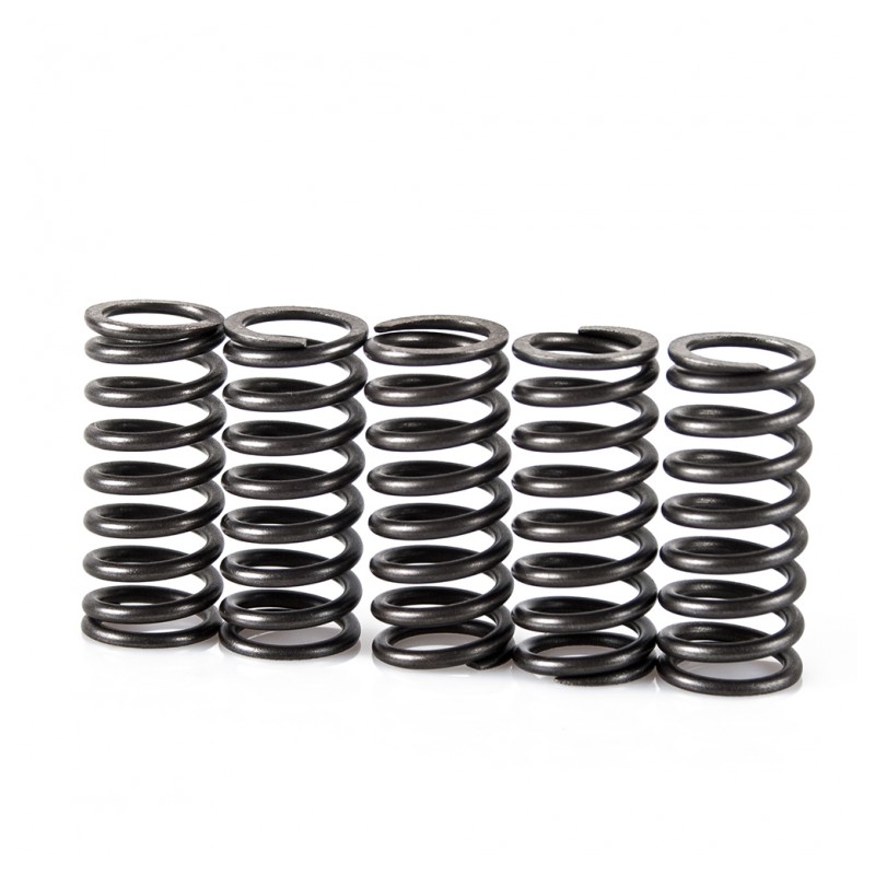 Spring clutch kit MOTION STUFF