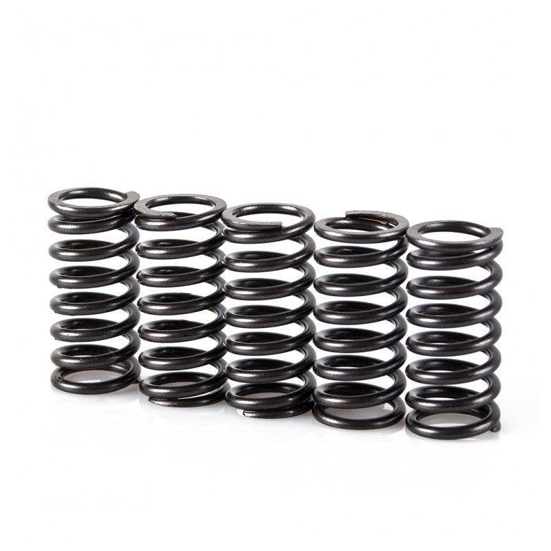 Spring clutch kit MOTION STUFF