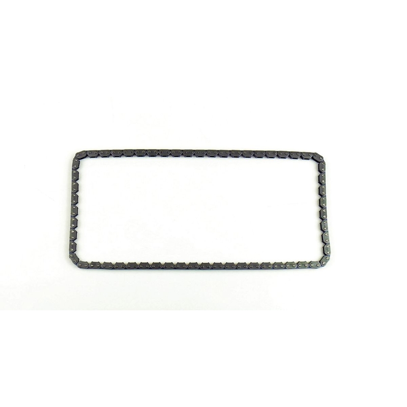 Timing chain ATHENA 98XRH2010 118 L