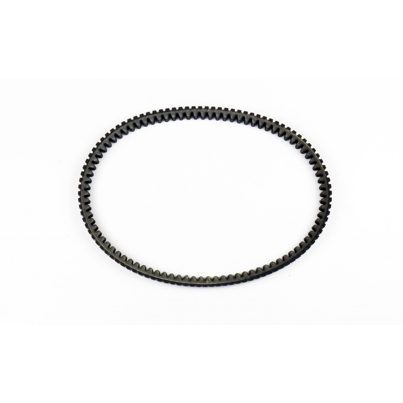 Variator belt ATHENA PLATINUM