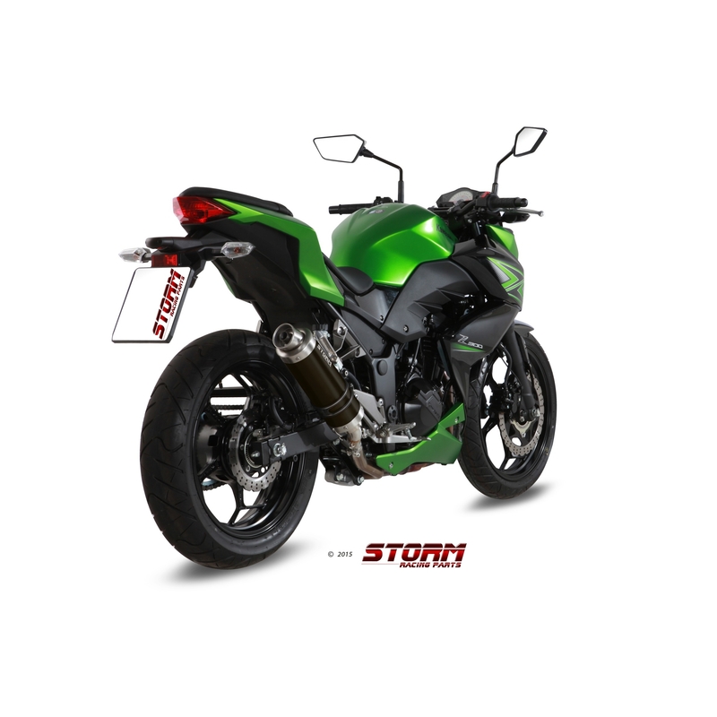 Silencer STORM GP Steel black for KAWASAKI Z 300 2015-2016, KAWASAKI EX Ninja 300 2013-2016