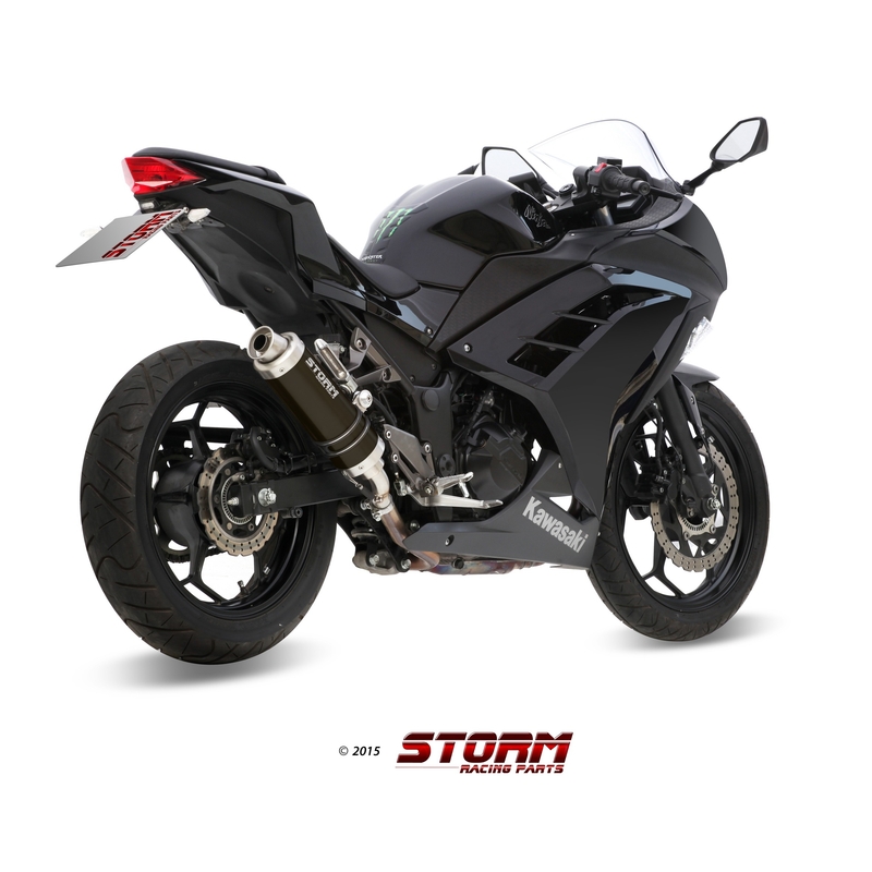 Silencer STORM GP Steel black for KAWASAKI Z 300 2015-2016, KAWASAKI EX Ninja 300 2013-2016