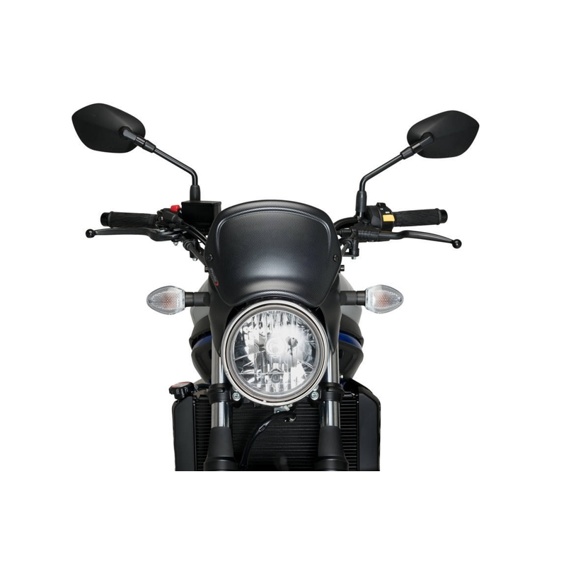 Windshield PUIG FRONTAL PLATE carbon look