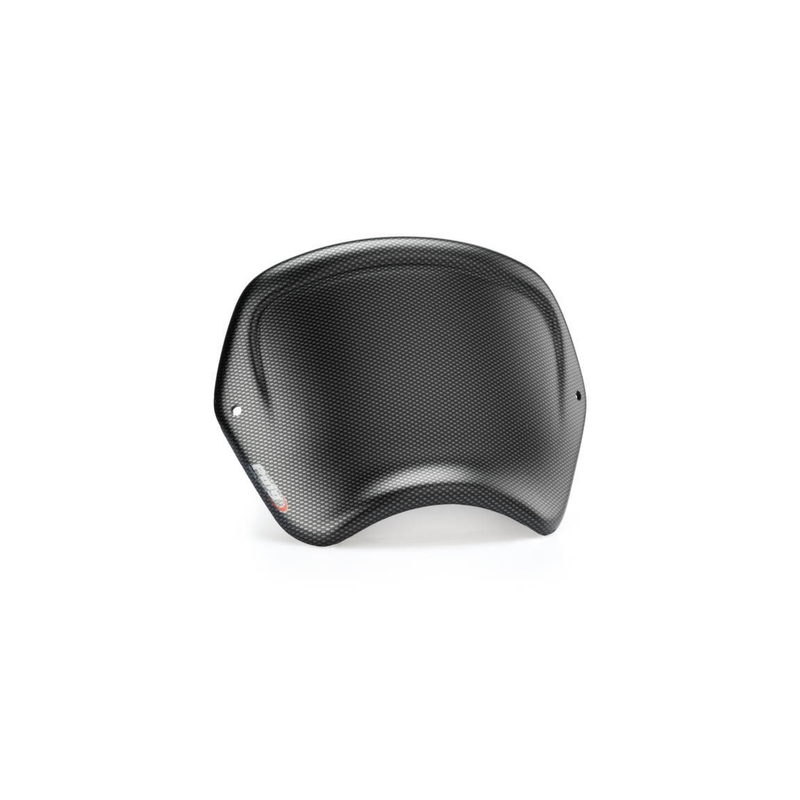 Windshield PUIG FRONTAL PLATE carbon look