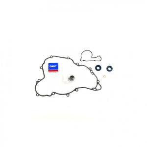 Water pump gasket kit ATHENA P400270475008 with bearings