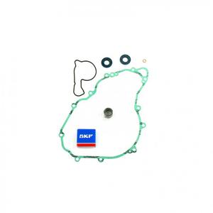 Water pump gasket kit ATHENA P400270475009 with bearings