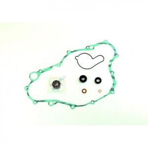 Water pump gasket kit ATHENA P400485475008 with bearings