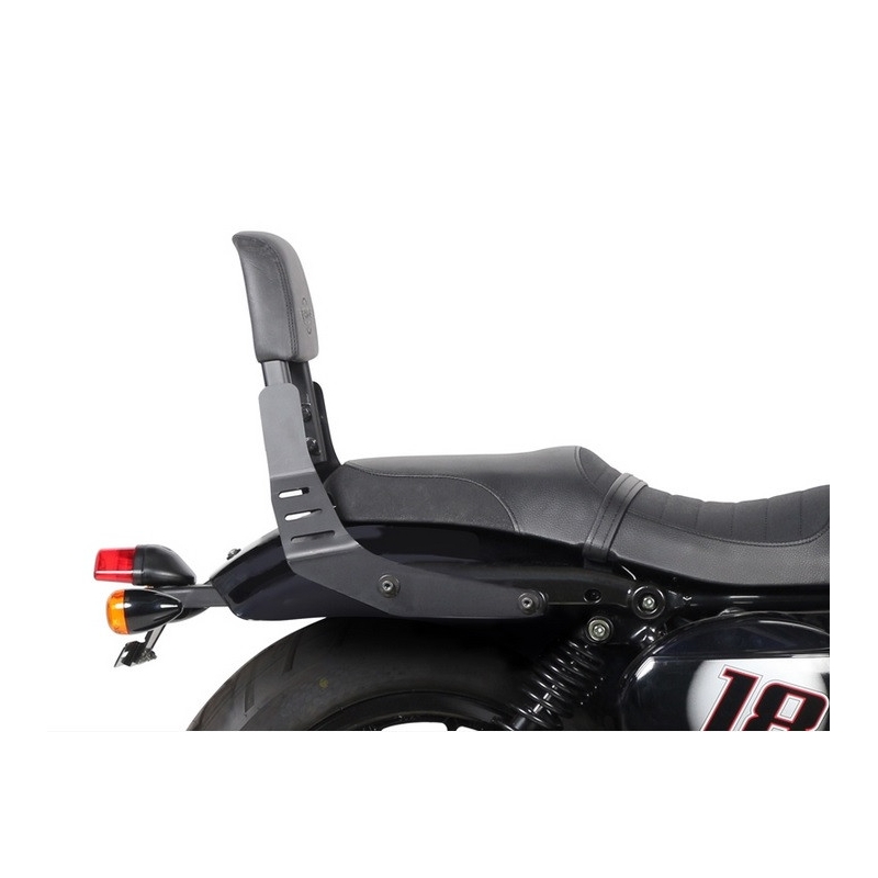 Fixation system SHAD for SHAD backrest