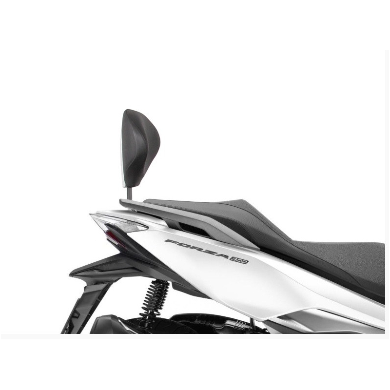 Fixation system SHAD for SHAD backrest