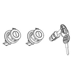 Downgradable Lock And Red Key Replacement System SHAD 203134R1