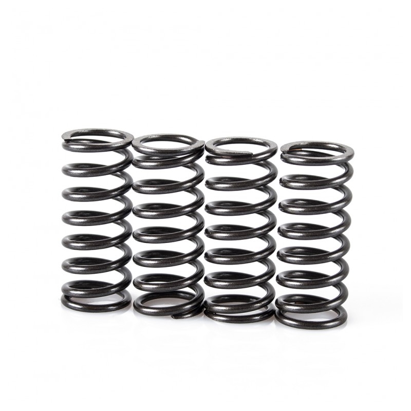 Spring clutch kit MOTION STUFF