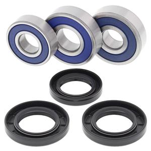 Wheel bearing and seal kit All Balls Racing WB25-1605