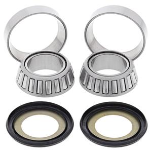 Steering bearing and seal kit All Balls Racing