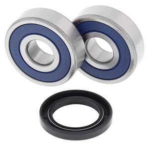 Wheel bearing and seal kit All Balls Racing