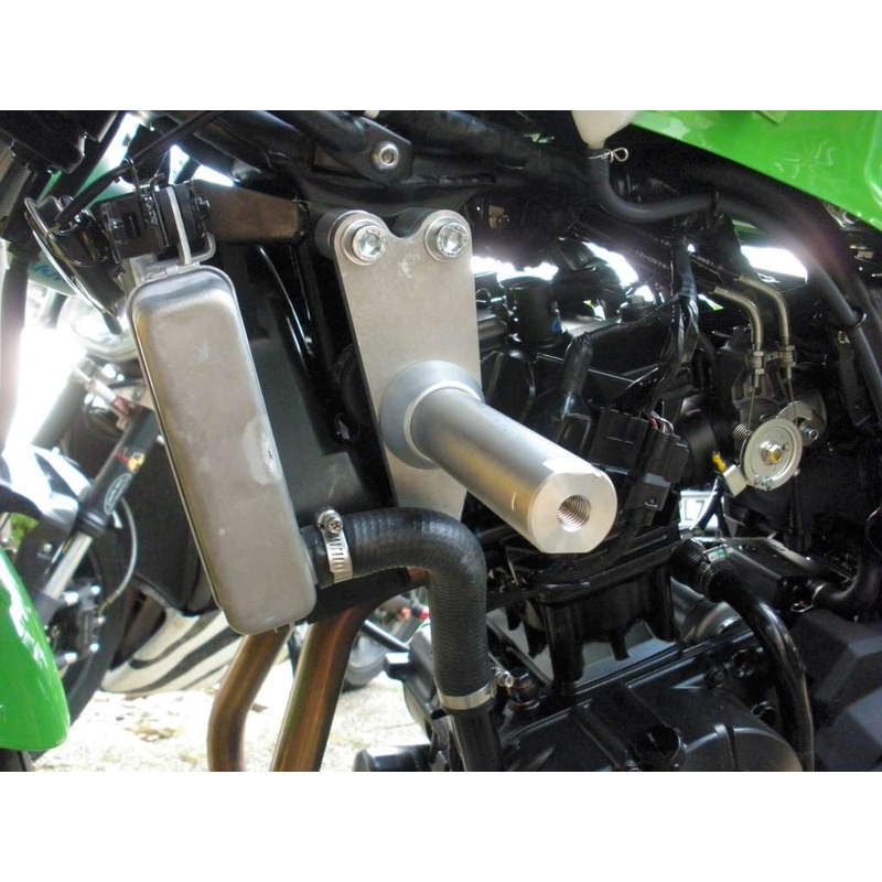 Kawasaki ZX-300R Arrow