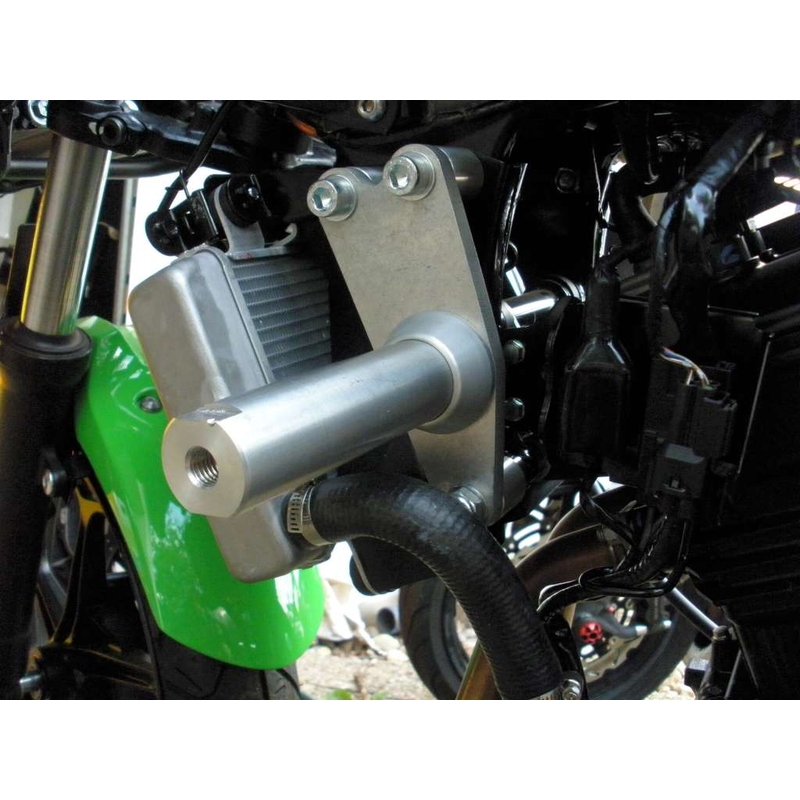 Kawasaki ZX-300R Arrow