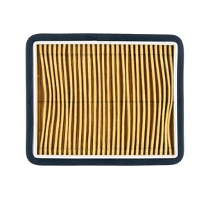 Air filter RMS 100602371