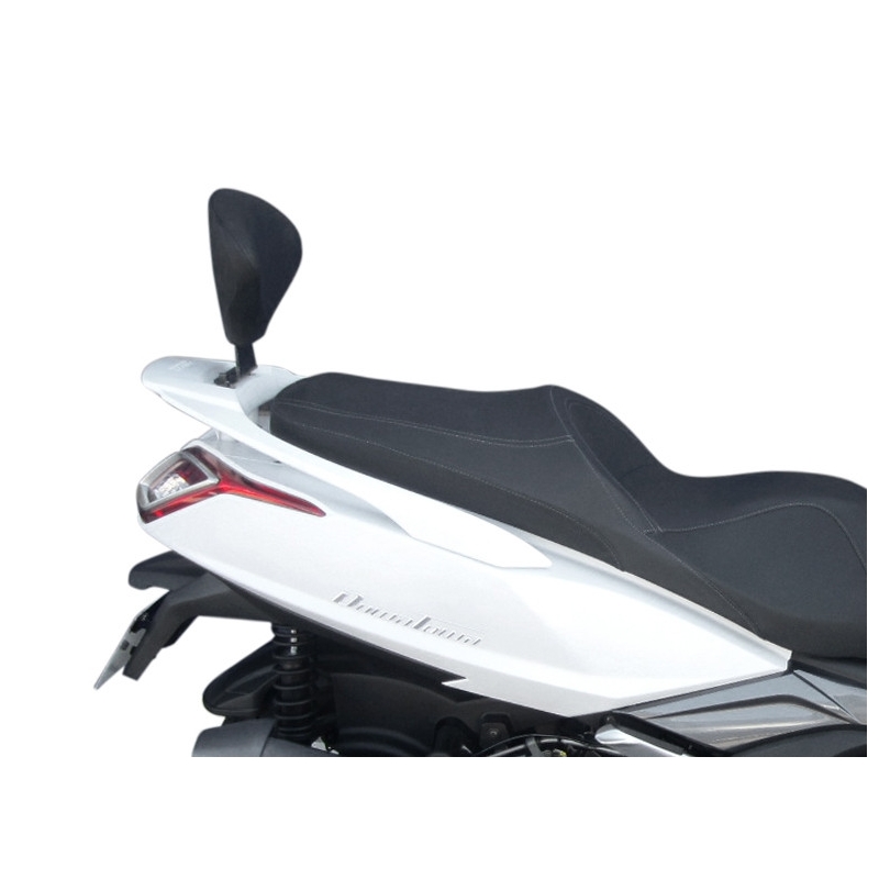 Fixation system SHAD for SHAD backrest