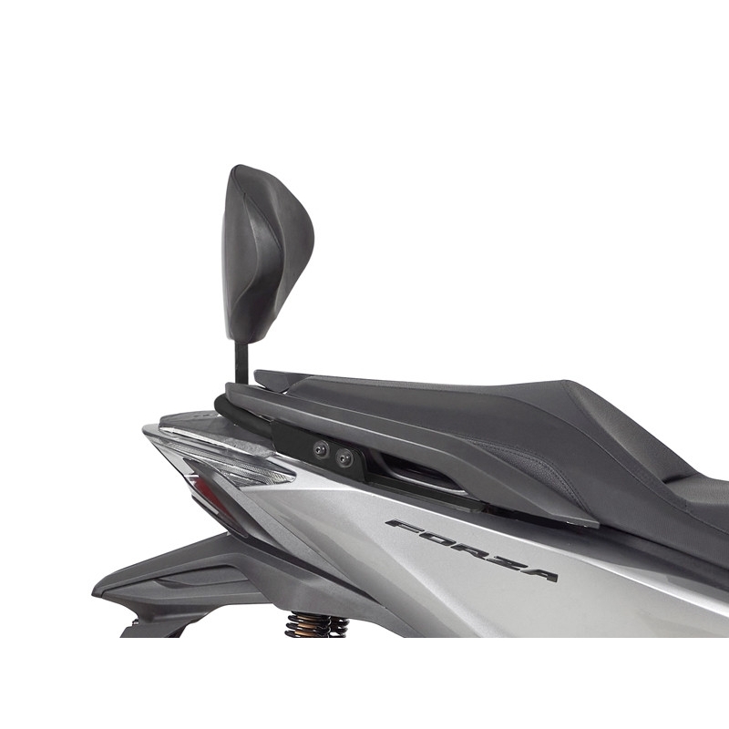 Fixation system SHAD for SHAD backrest