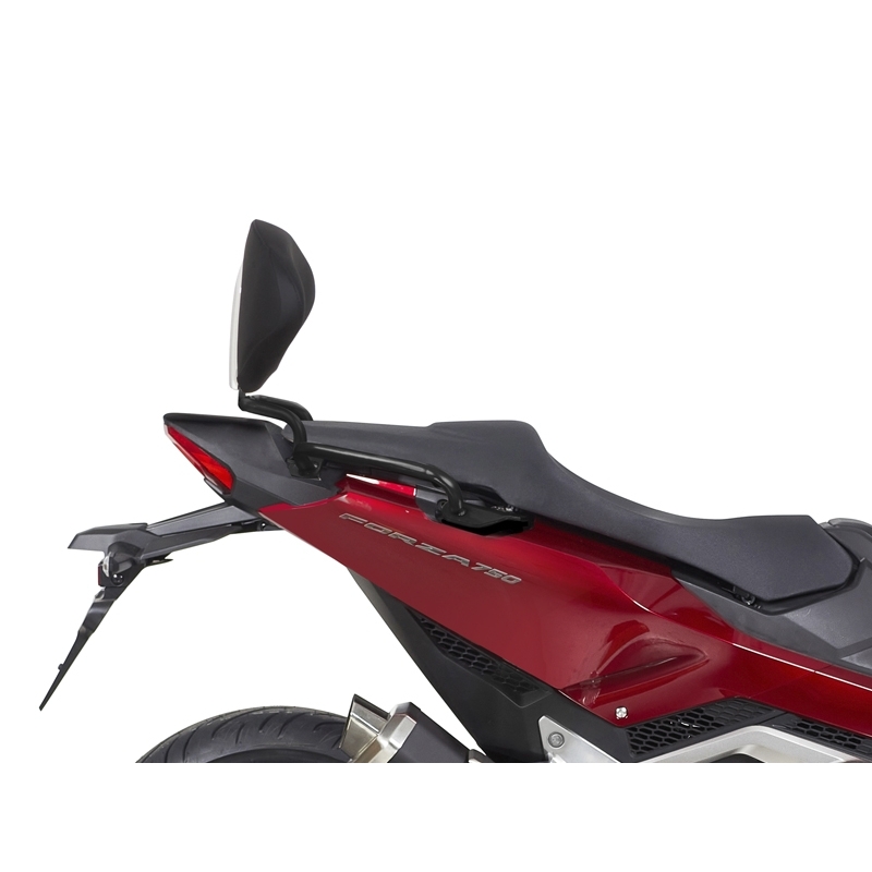 Fixation system SHAD for SHAD backrest