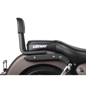 Backrest SHAD K0SP12SN Sissy Bar