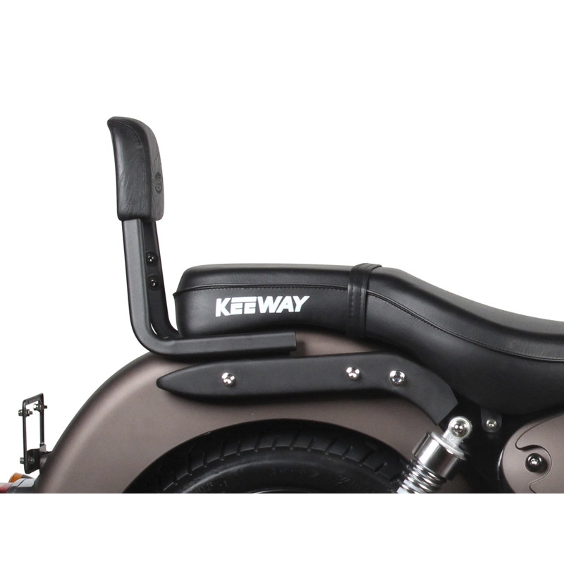 Backrest SHAD Sissy Bar
