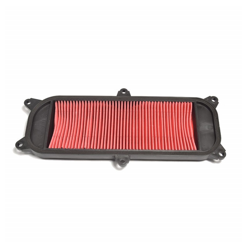 Air filter ATHENA for KYMCO People 250 / S 2006-2007