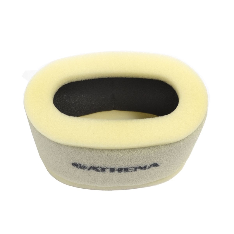 Air filter ATHENA