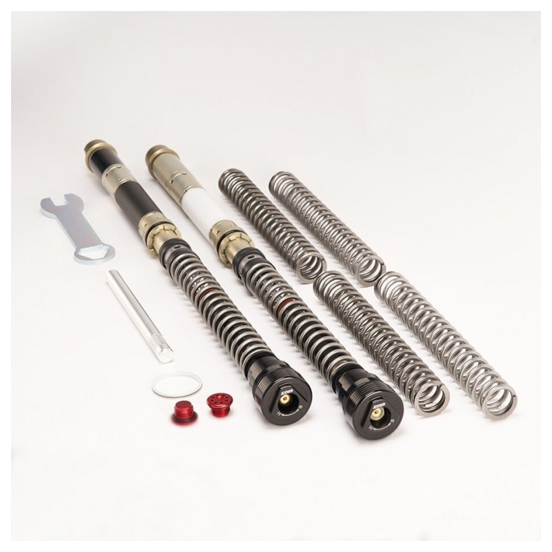 Front fork cartridge K-TECH DDS