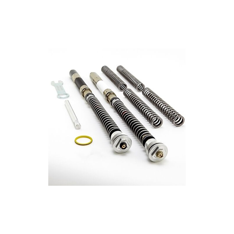 Front fork cartridge K-TECH DDS