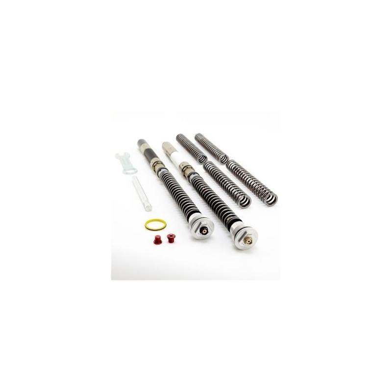 Front fork cartridge K-TECH DDS