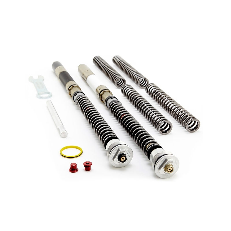 Front fork cartridge K-TECH DDS